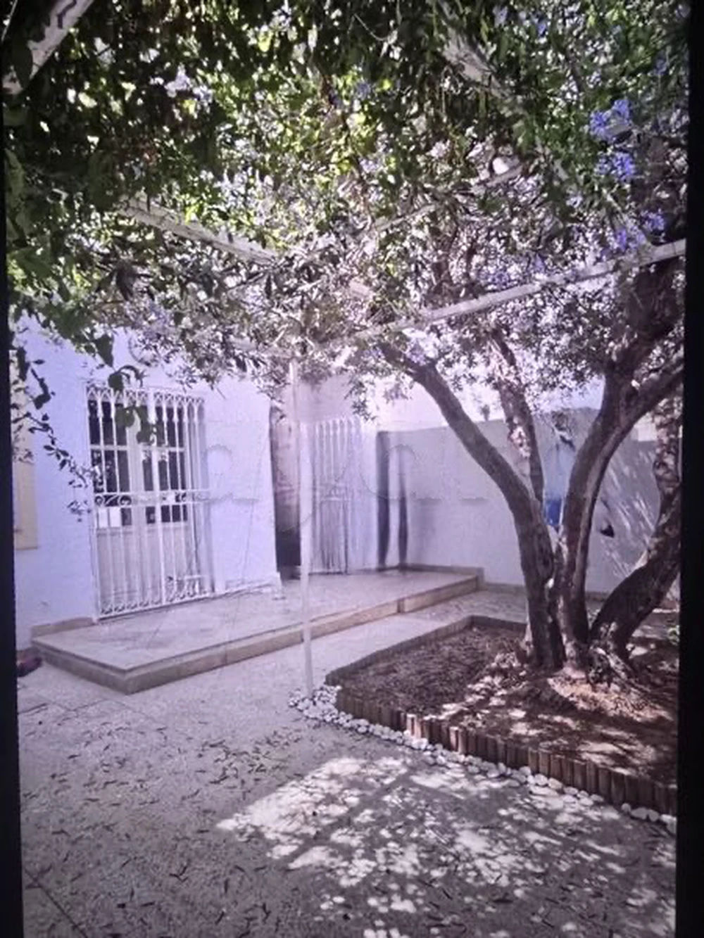 Villa à louer à La Marsa, photo 2