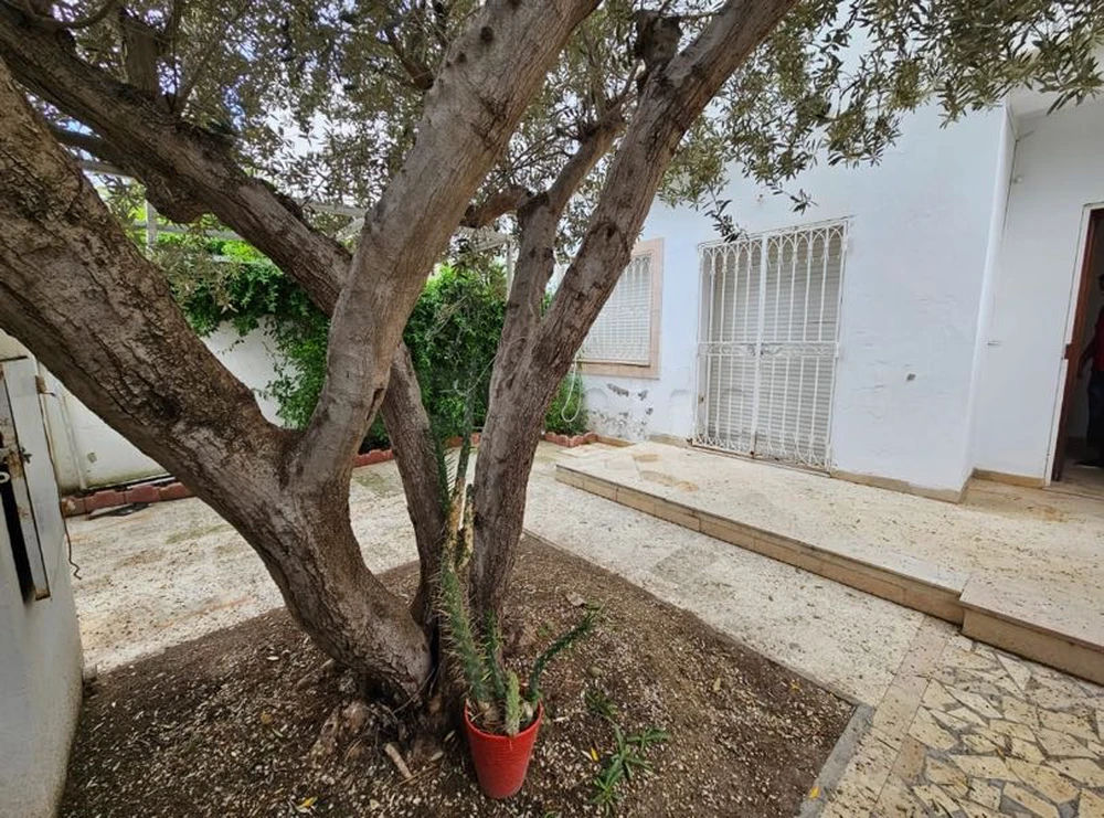 Villa à louer à La Marsa, photo 1
