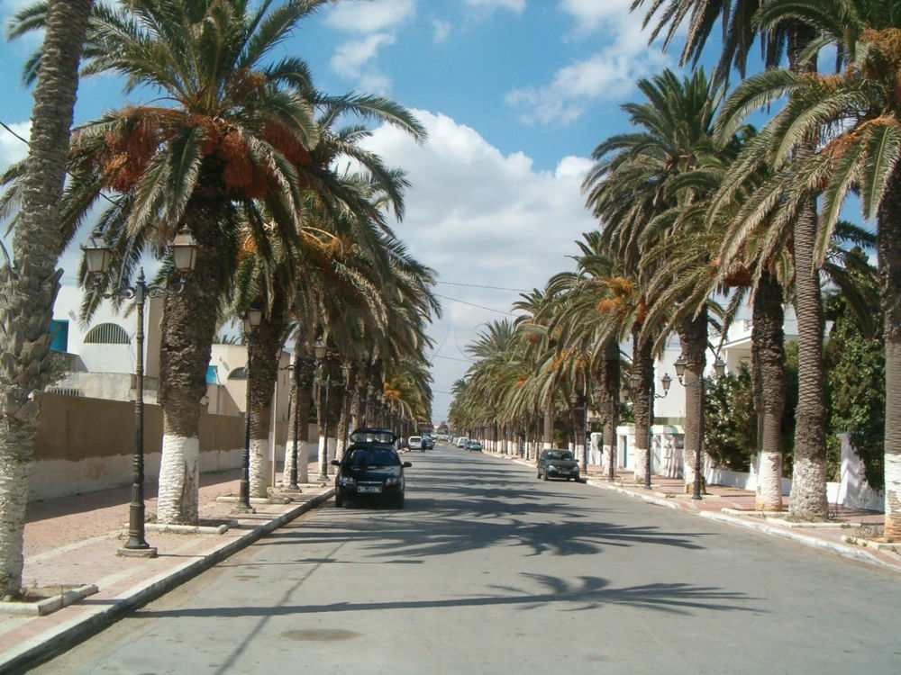 Maison s+2 richement meublé à Ezzahra ville, photo 1