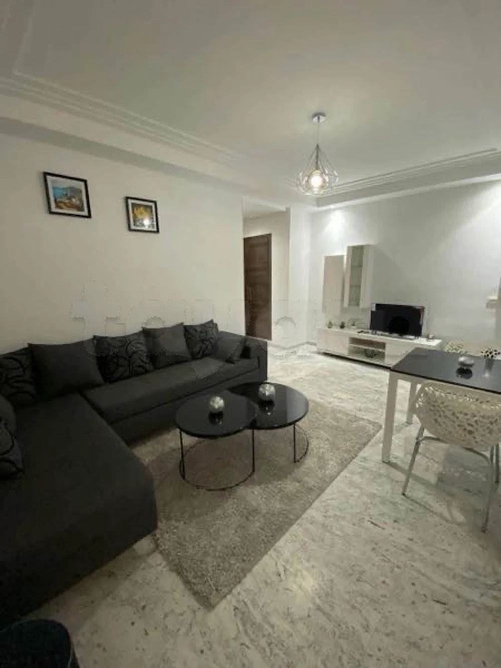 đJARDINS DâEl MENZAH 1 : APPARTEMENT S+1 RICHEMENT MEUBLĂ Ă LOUER, photo 1