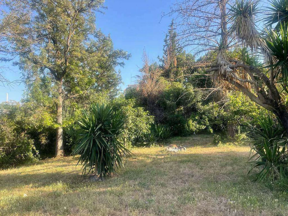 LOCATION VILLA S+4 A MUTUELLEVILLE, صورة 2
