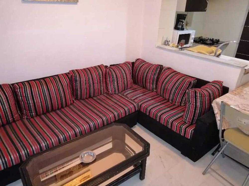 location vacances à Tunis route la Marsa cité les palmeraies Aouina appartement stérilisé hygiène garantie, photo 5