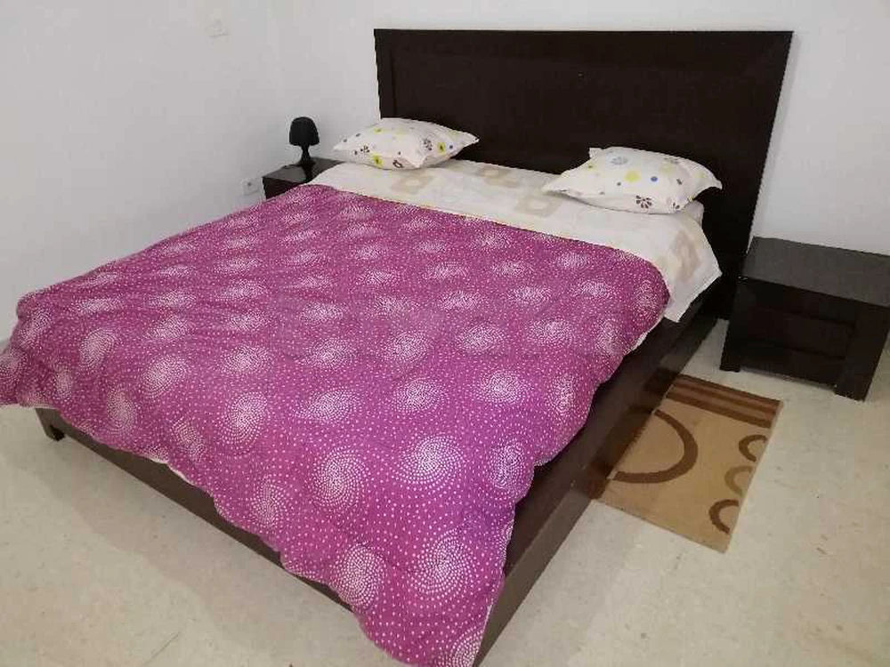 location vacances à Tunis route la Marsa cité les palmeraies Aouina appartement stérilisé hygiène garantie, photo 2