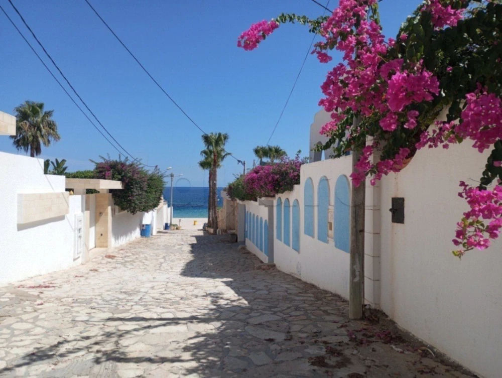 Rez-de-jardin S+1 75m2 d’une villa au bord de mer Chatt, photo 1
