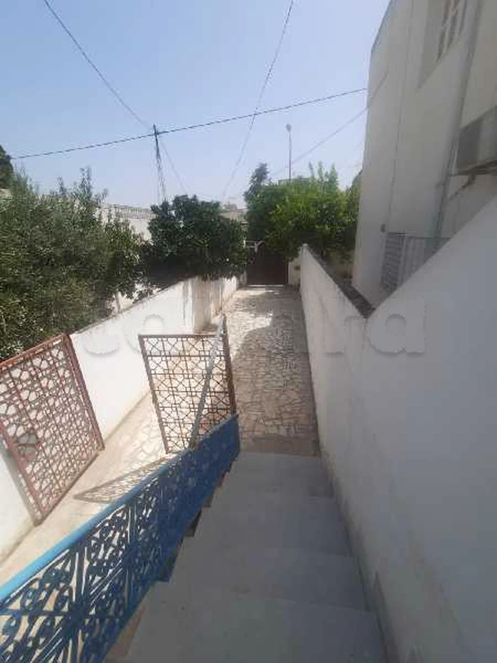 a louer deux s3 bardo 20 Mars, photo 1