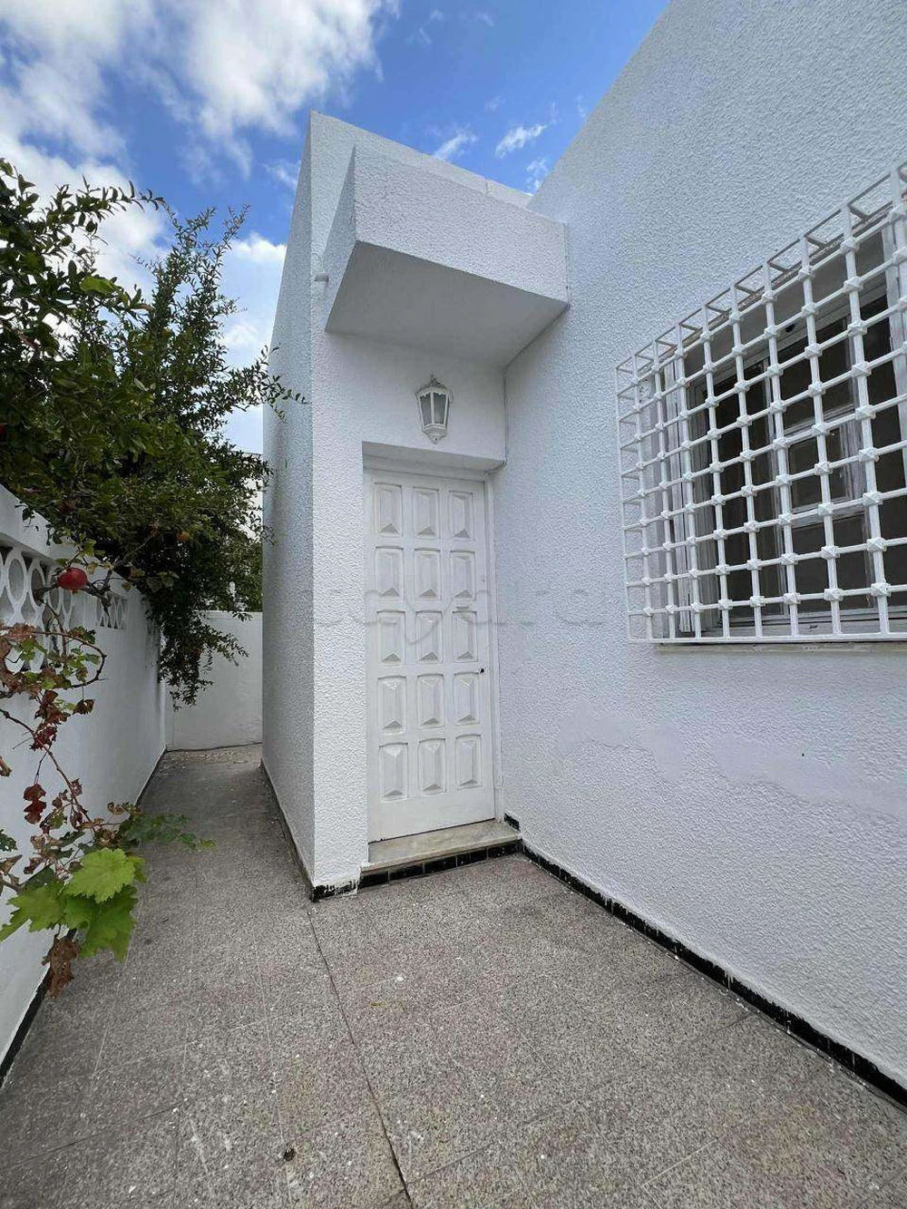 Beau Studio à El Ghazela, photo 1