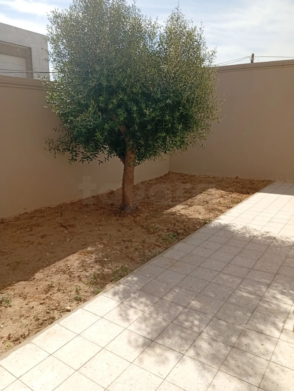 location ghazela s+2 jardin 1km du pole, photo 4