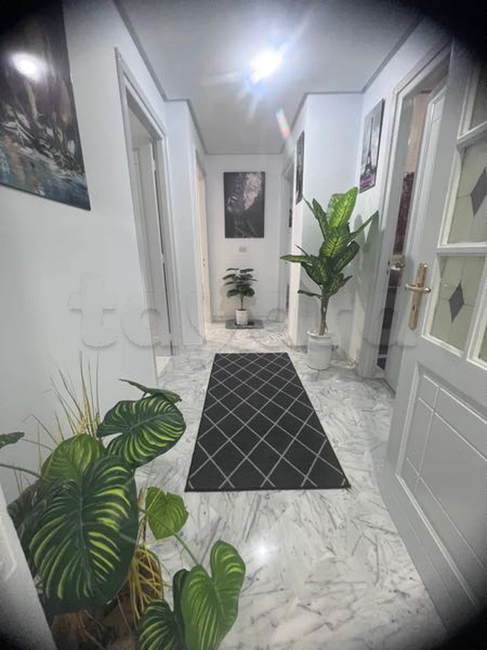 appartement s4 meublé ennasr, photo 4