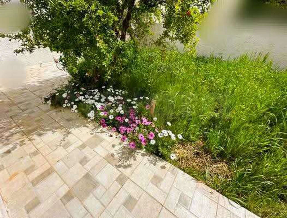 Location grande villa Ennasr 2, photo 3