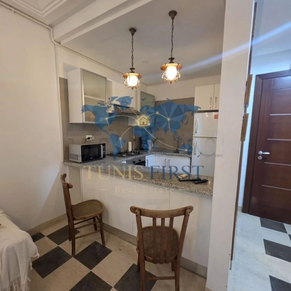 A louer Appartement S+1 Meublé aux Jardins de Carthage, photo 2