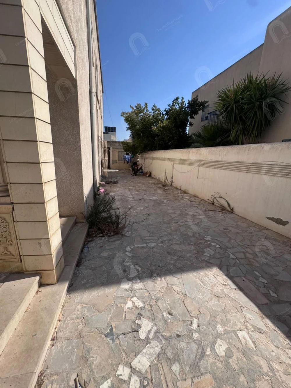 A louer un grand rez-de-chaussée indépendant S+4 au bardo cité skik, photo 2