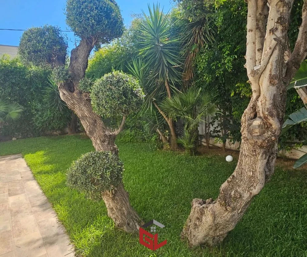 A Louer Villa Meublée à Menzah 1, photo 3