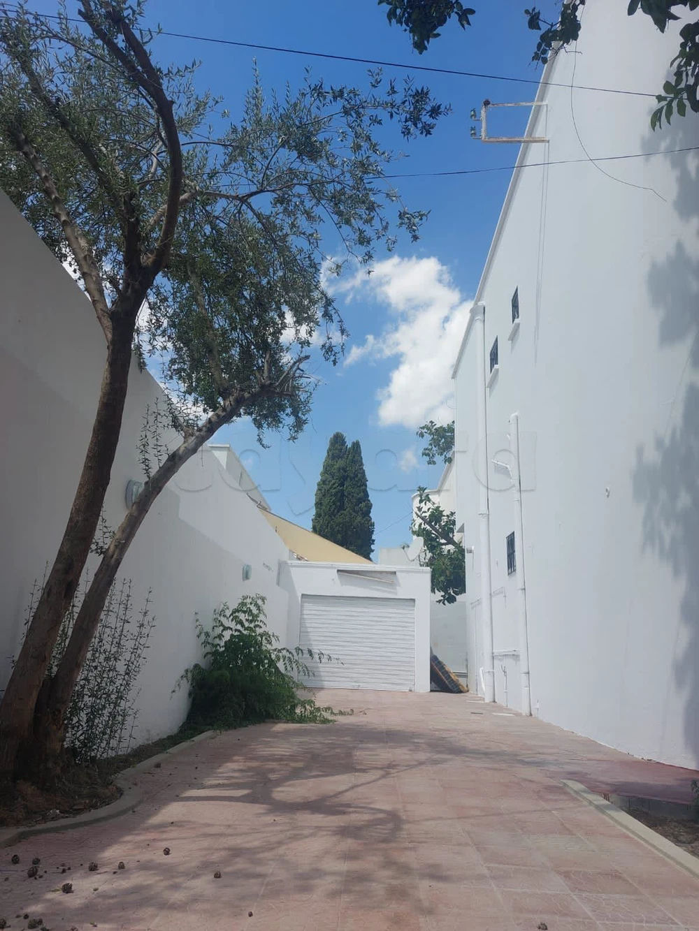 VILLA A LOUER, صورة 1