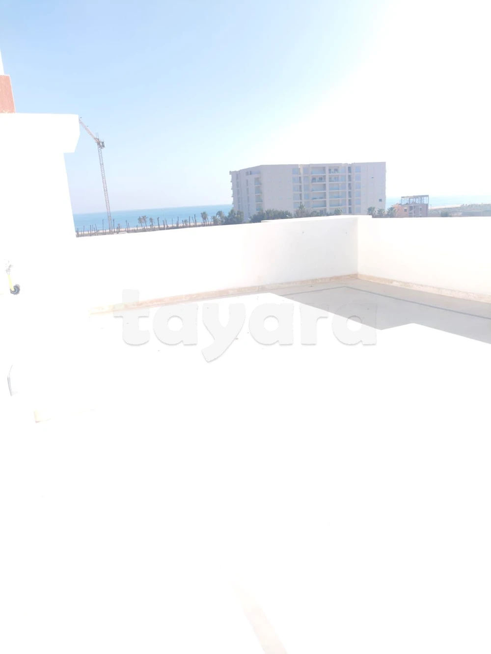 Apparemment flamant rose raoued plage, photo 2