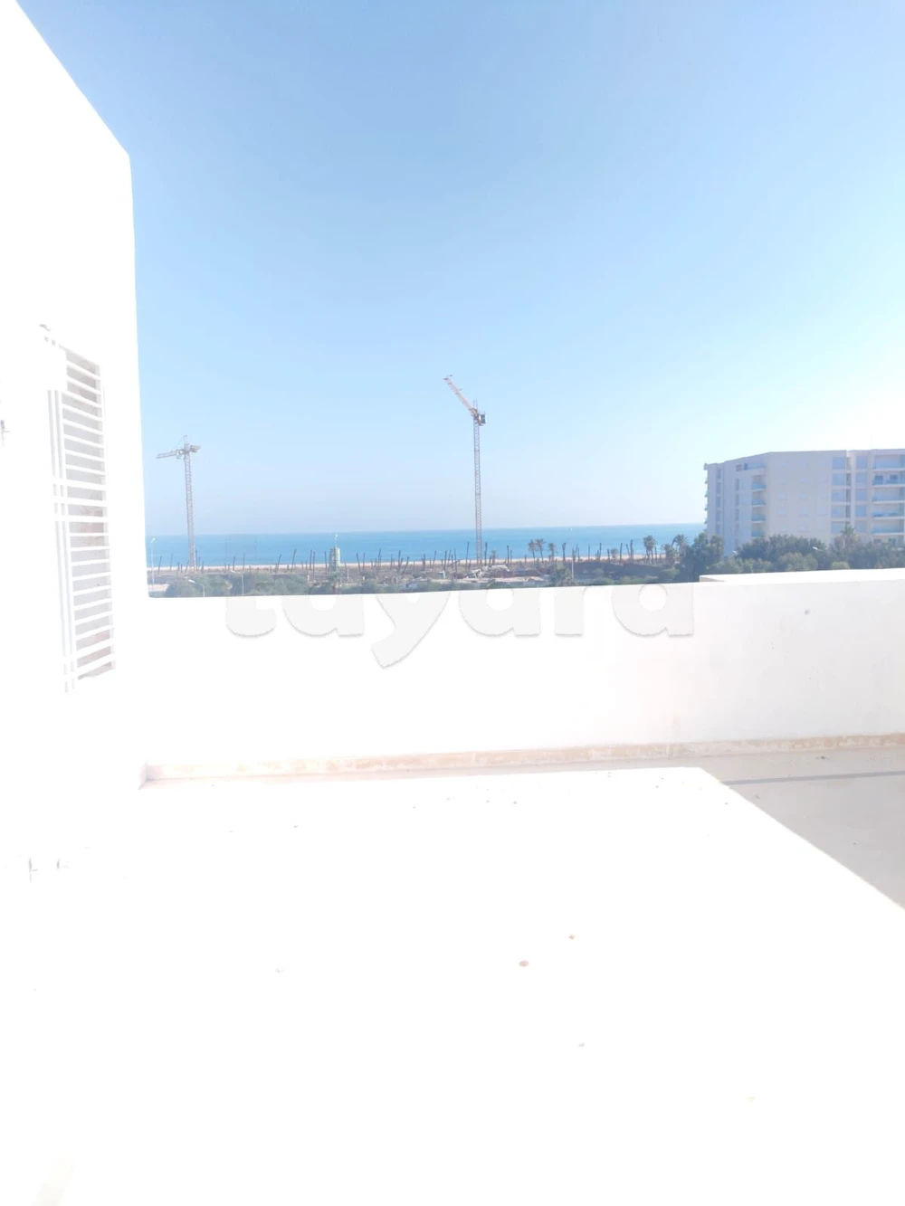 Apparemment flamant rose raoued plage, photo 1