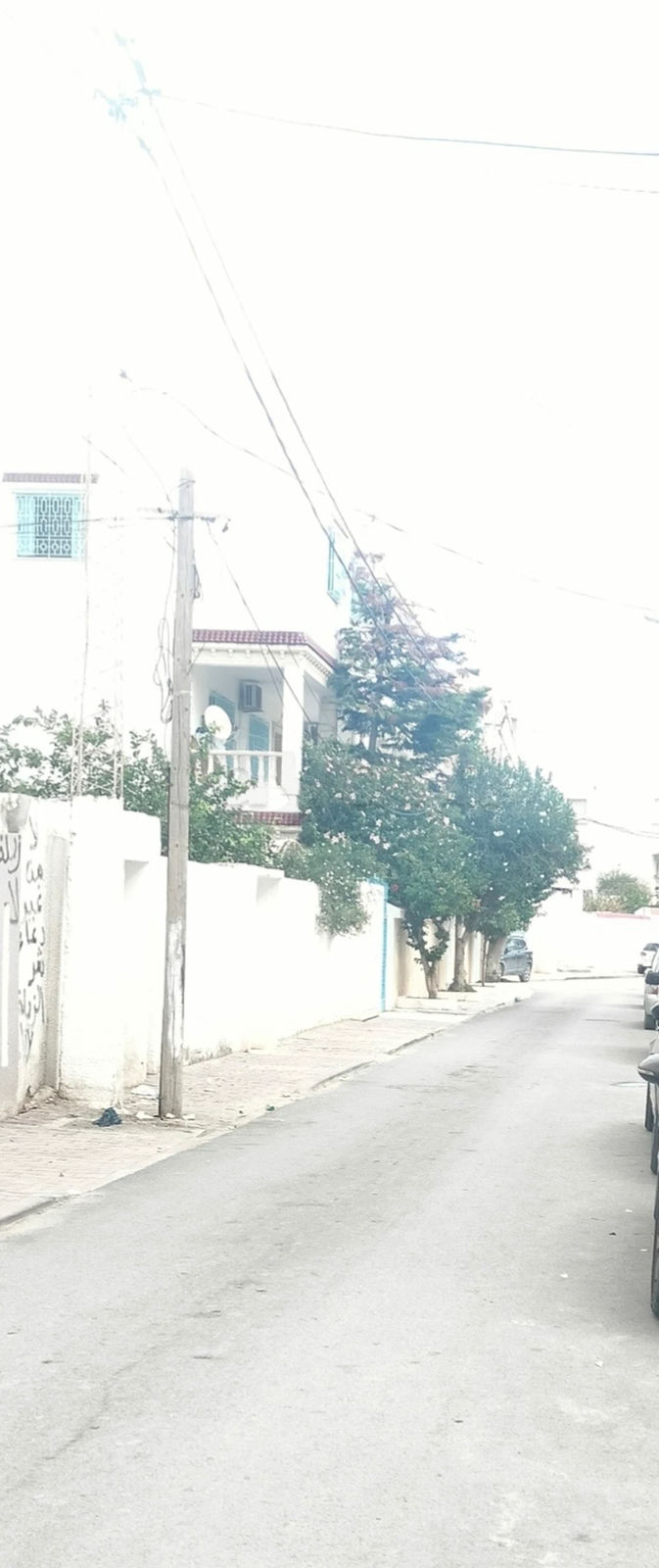 S+1 à louer, صورة 1