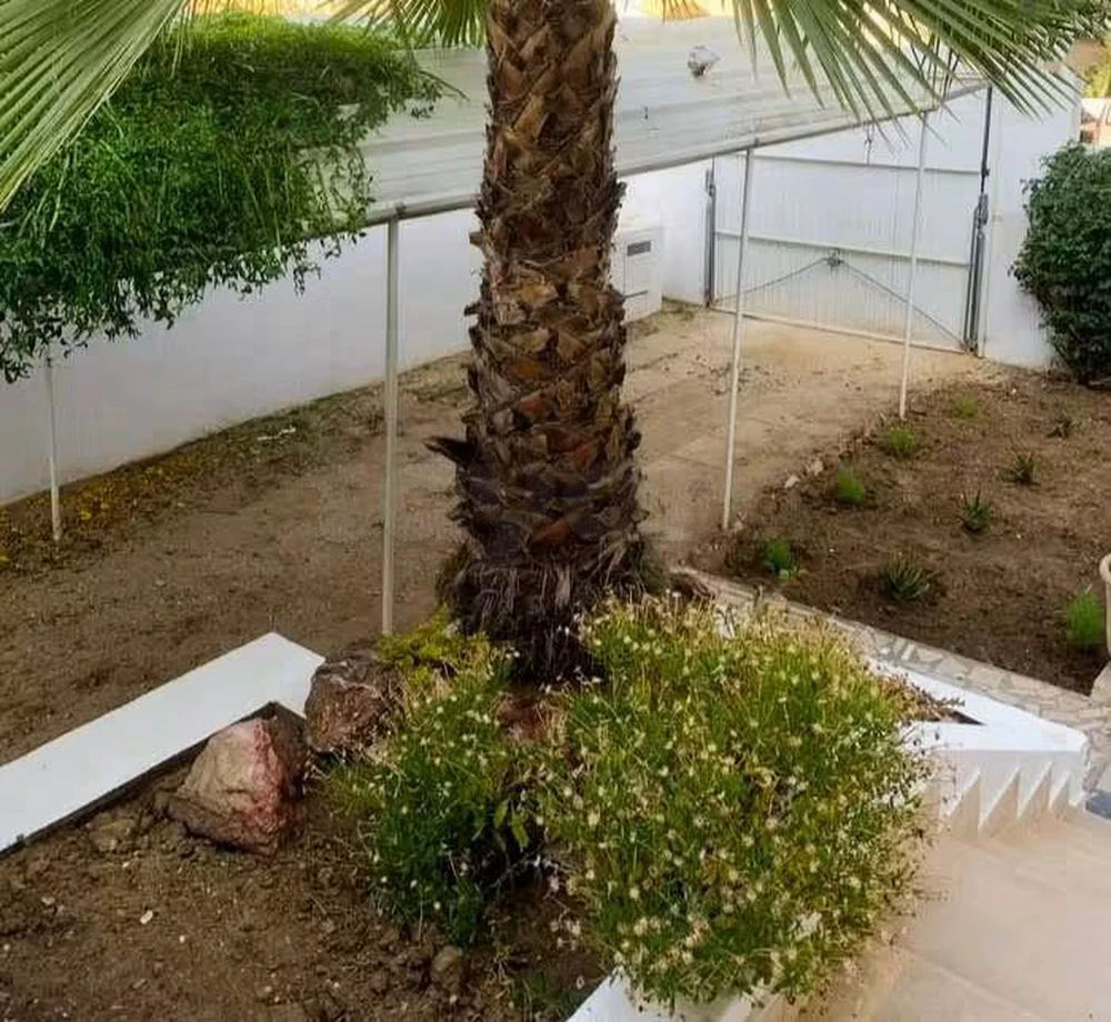 à louer villa S+4 avec jardin à Menzah 9 A, صورة 5