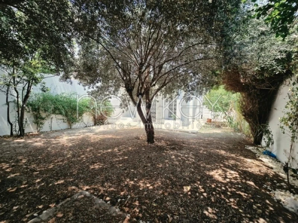 Une villa s+5 à la Marsa avec jardin, photo 1