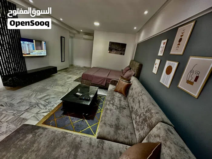 استيديو مؤثث, photo 1